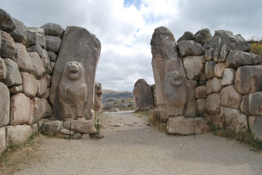 lion_gate_lead